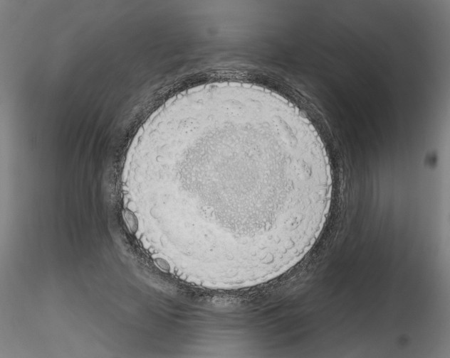 X0000116150641201001041054