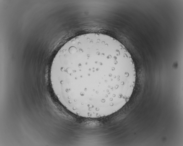 X0000116150642201001041054