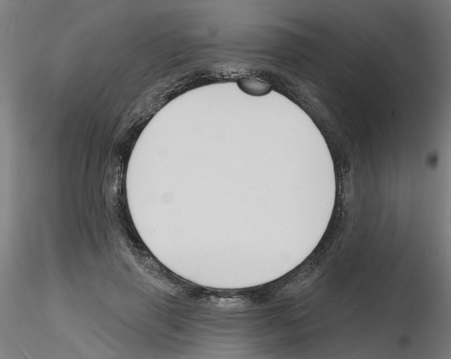 X0000116150645201001041054