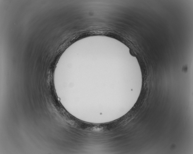 X0000116150647201001041054