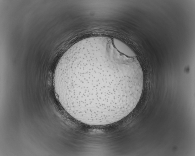 X0000116150649201001041054