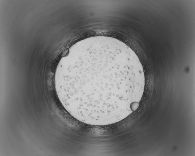 X0000116150650201001041054