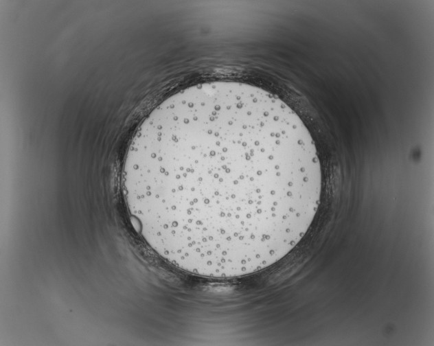 X0000116150651201001041054