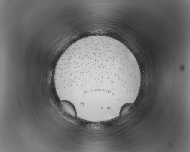 X0000116150652201001041054