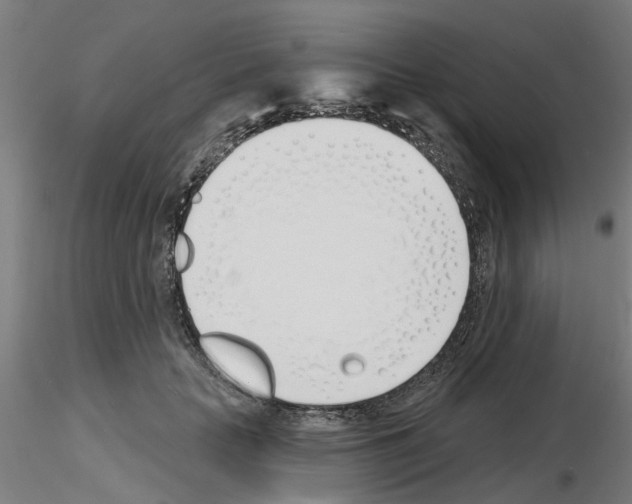 X0000116150653201001041054