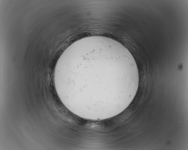 X0000116150655201001041054