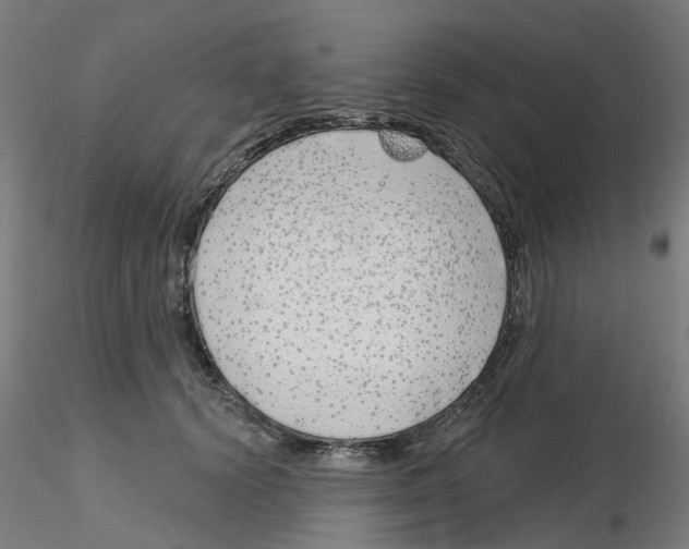 X0000116150656201001041054