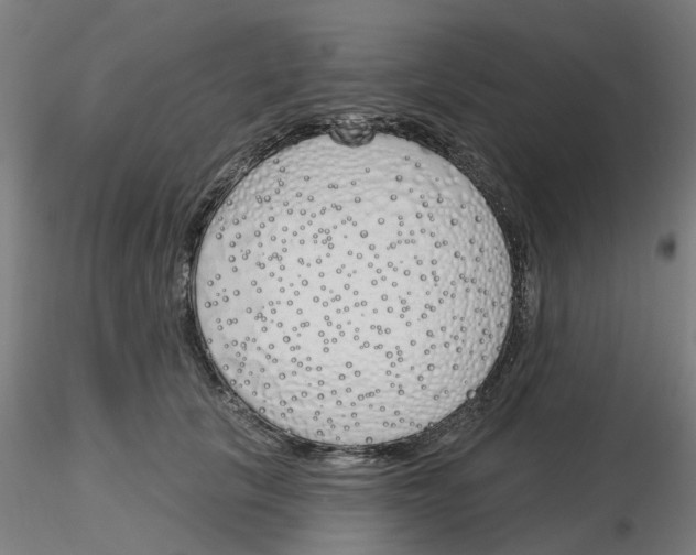 X0000116150657201001041054