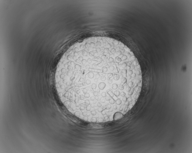 X0000116150658201001041054