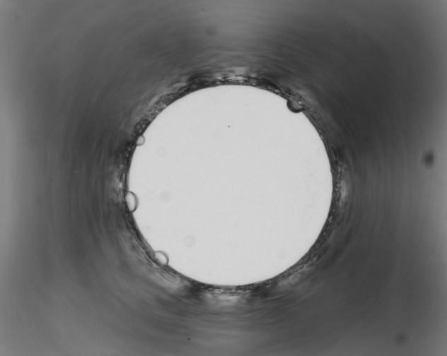 X0000116150661201001041054