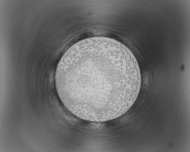 X0000116150667201001041054