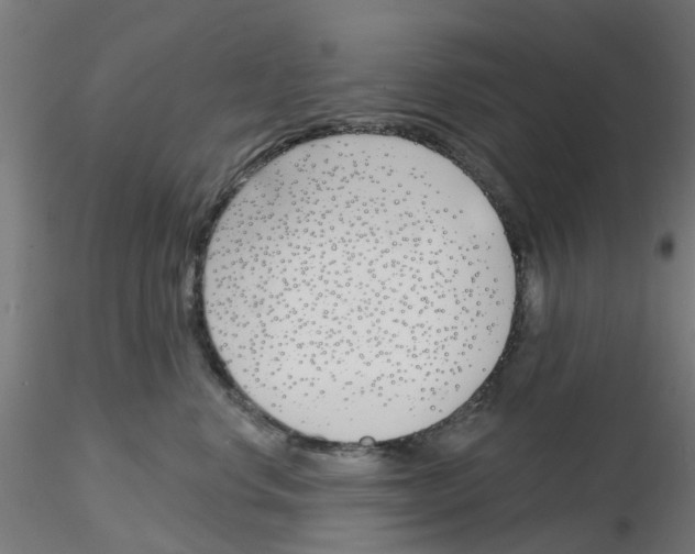 X0000116150668201001041054