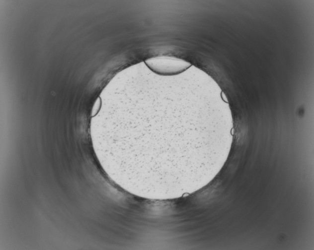 X0000116150670201001041054