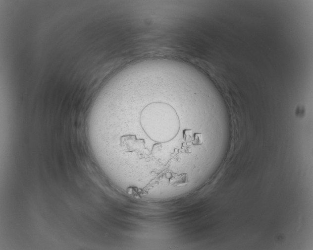 X0000116150672201001041054