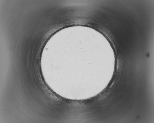 X0000116150673201001041054