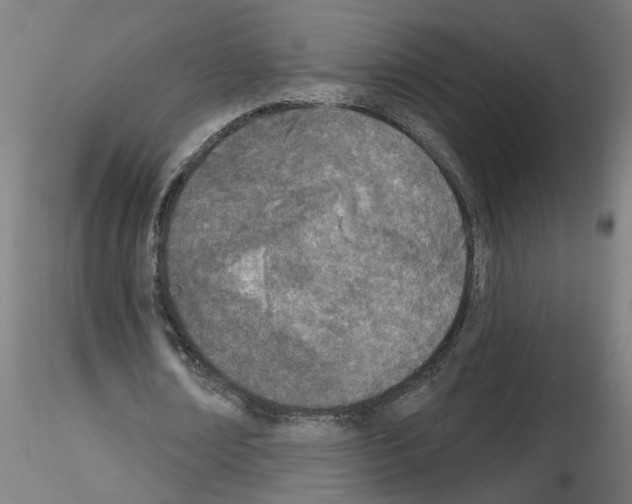 X0000116150674201001041054