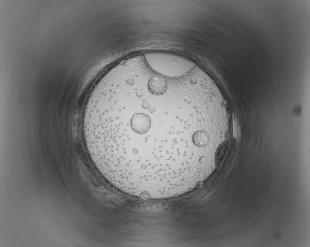 X0000116150675201001041054