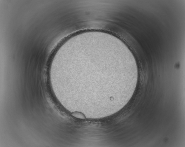 X0000116150676201001041054