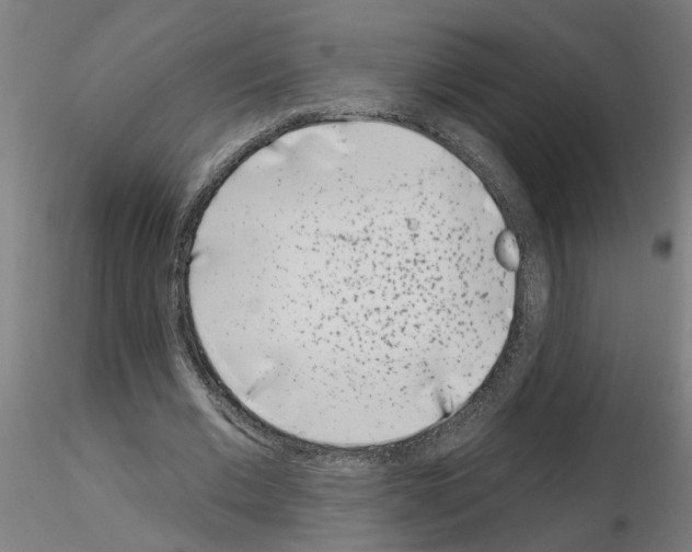 X0000116150677201001041054