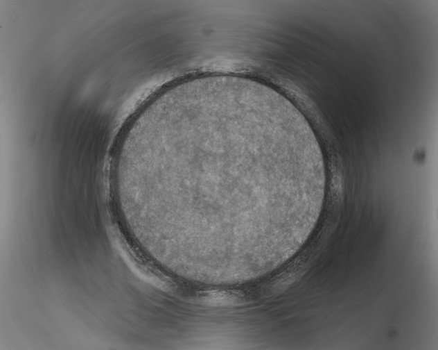 X0000116150678201001041054