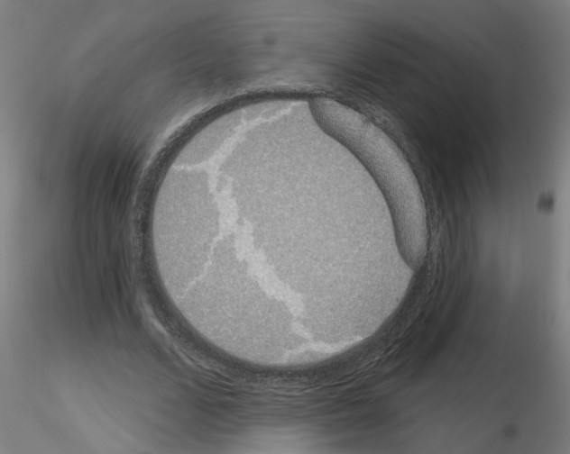 X0000116150680201001041054