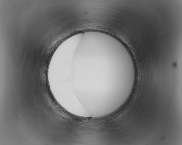 X0000116150681201001041054