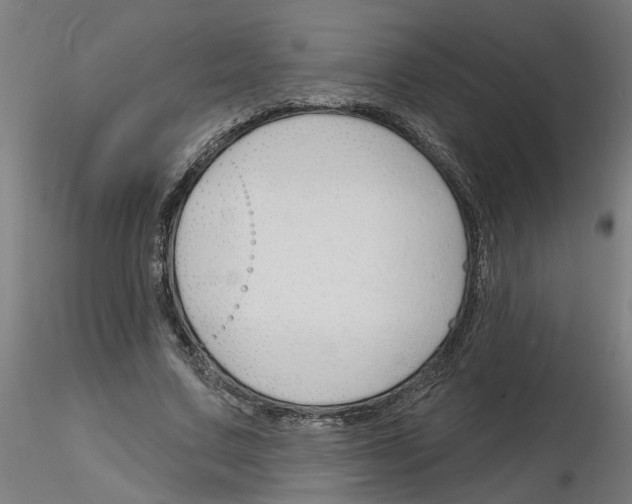 X0000116150683201001041054