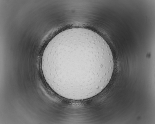 X0000116150686201001041054