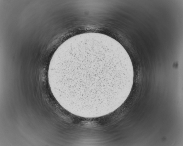 X0000116150689201001041054