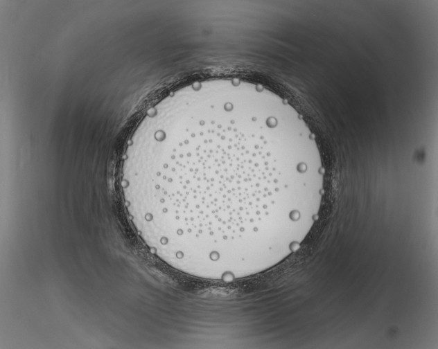 X0000116150691201001041054