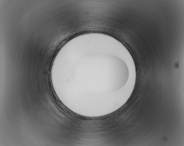 X0000116150692201001041053