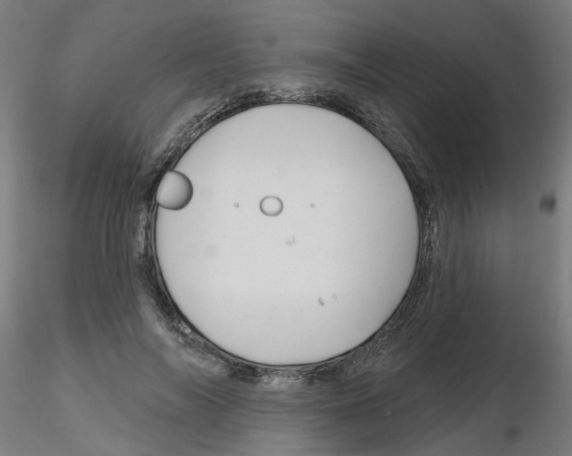 X0000116150694201001041053