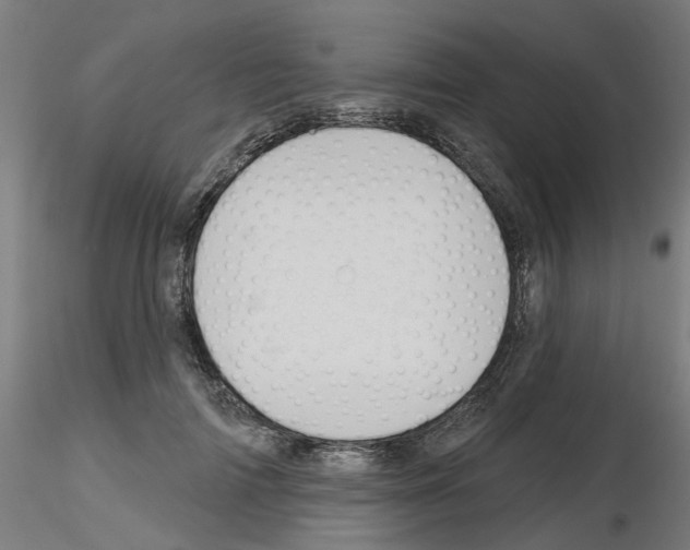 X0000116150698201001041053