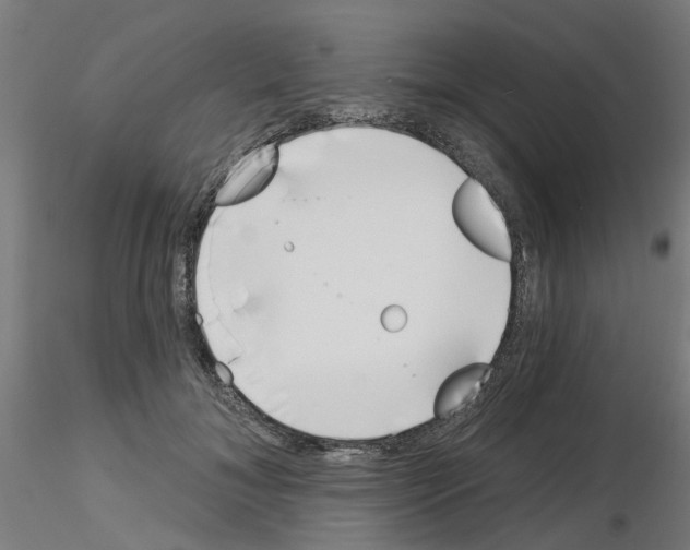 X0000116150700201001041053