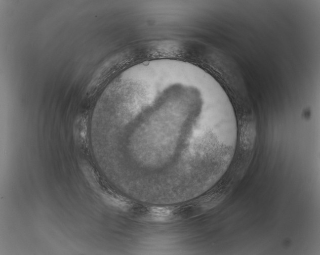 X0000116150701201001041053