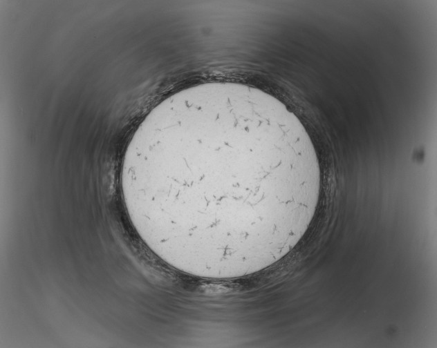 X0000116150703201001041053