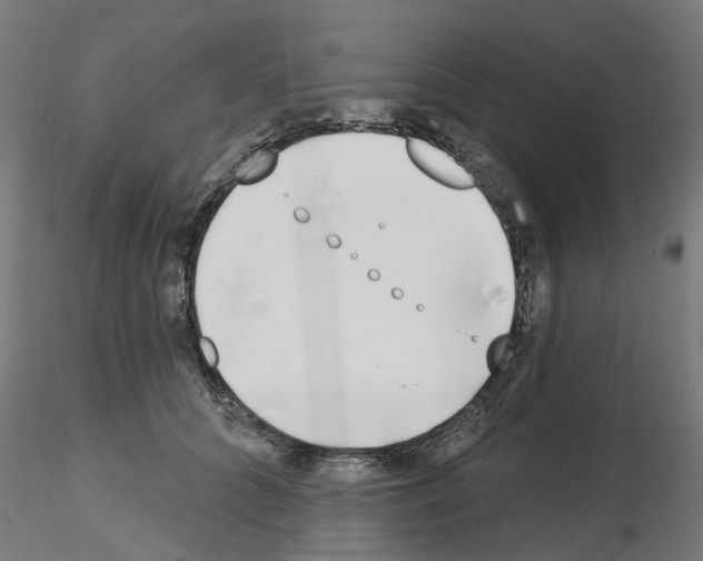 X0000116150704201001041053