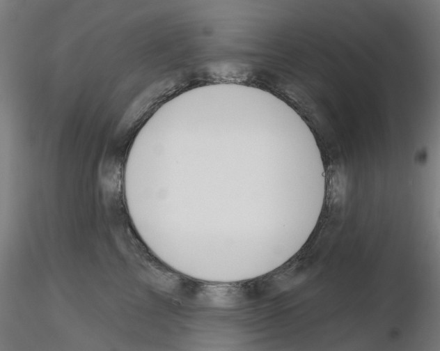 X0000116150713201001041053