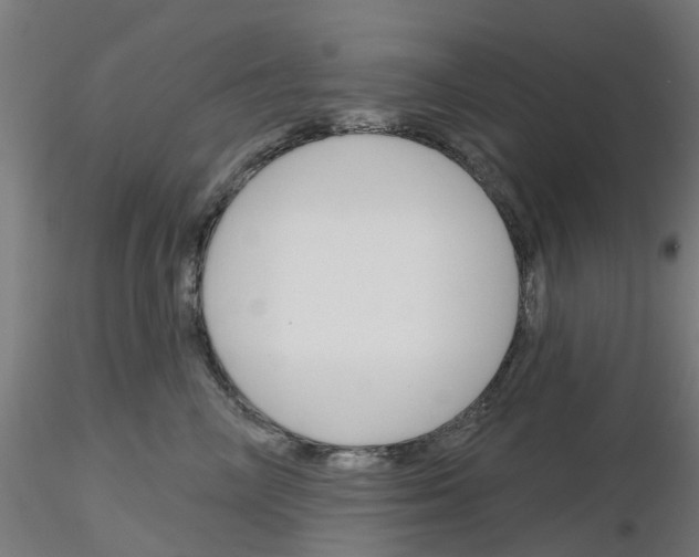 X0000116150714201001041053