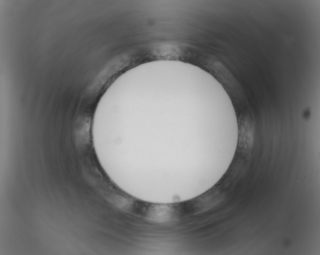 X0000116150717201001041053