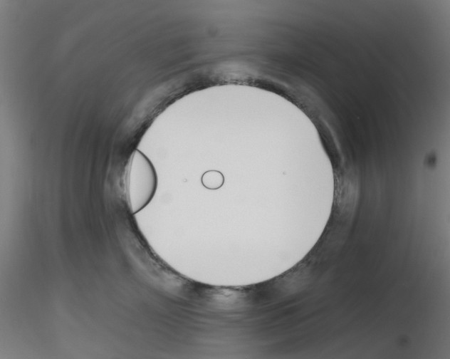 X0000116150718201001041053