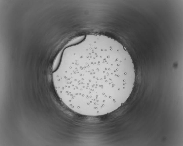 X0000116150719201001041053