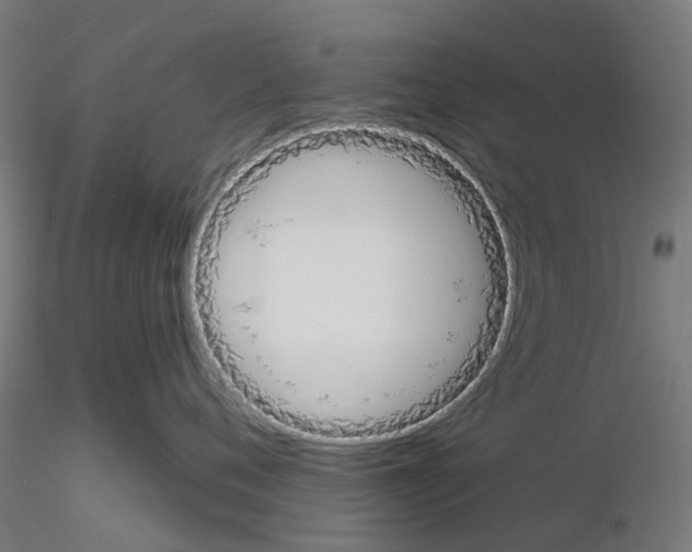 X0000116150720201001041053