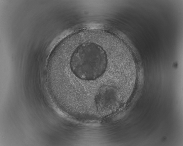 X0000116150721201001041052