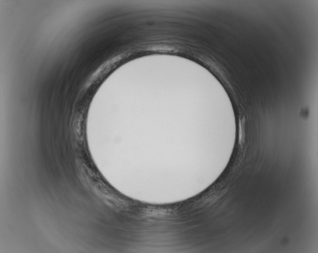 X0000116150723201001041052