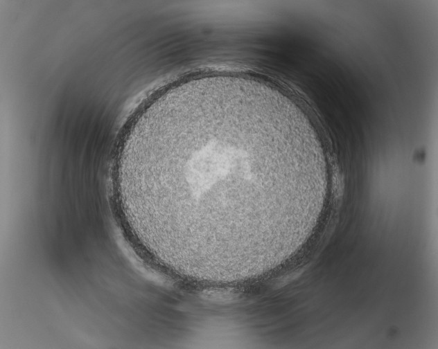 X0000116150725201001041053