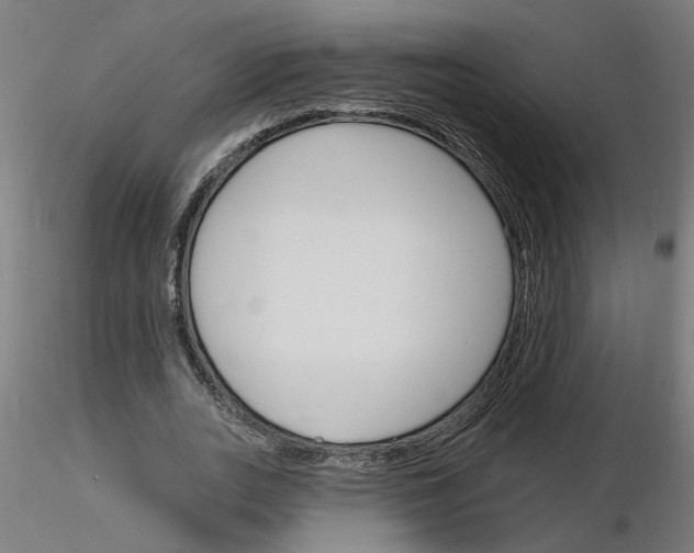 X0000116150727201001041053