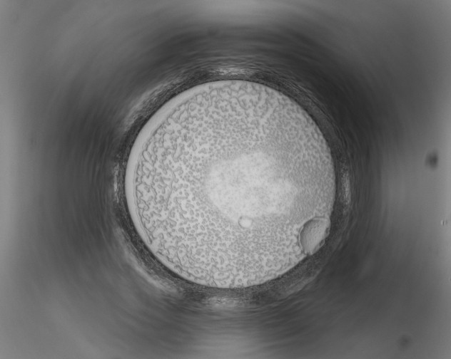 X0000116150733201001041053