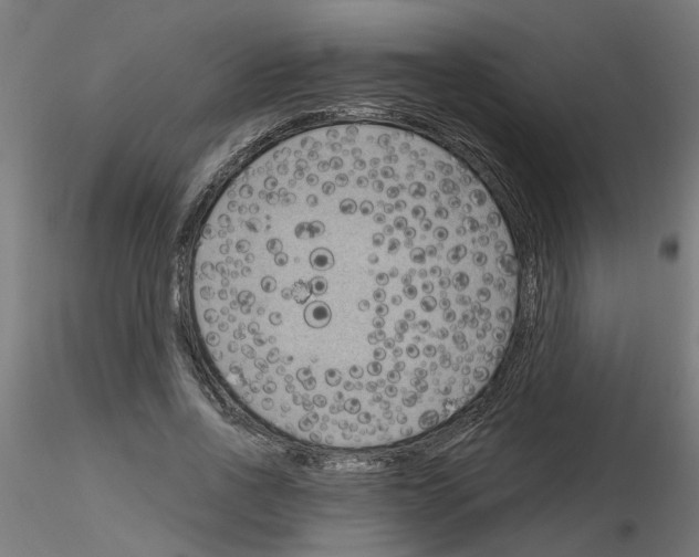 X0000116150734201001041053