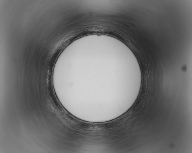 X0000116150735201001041053